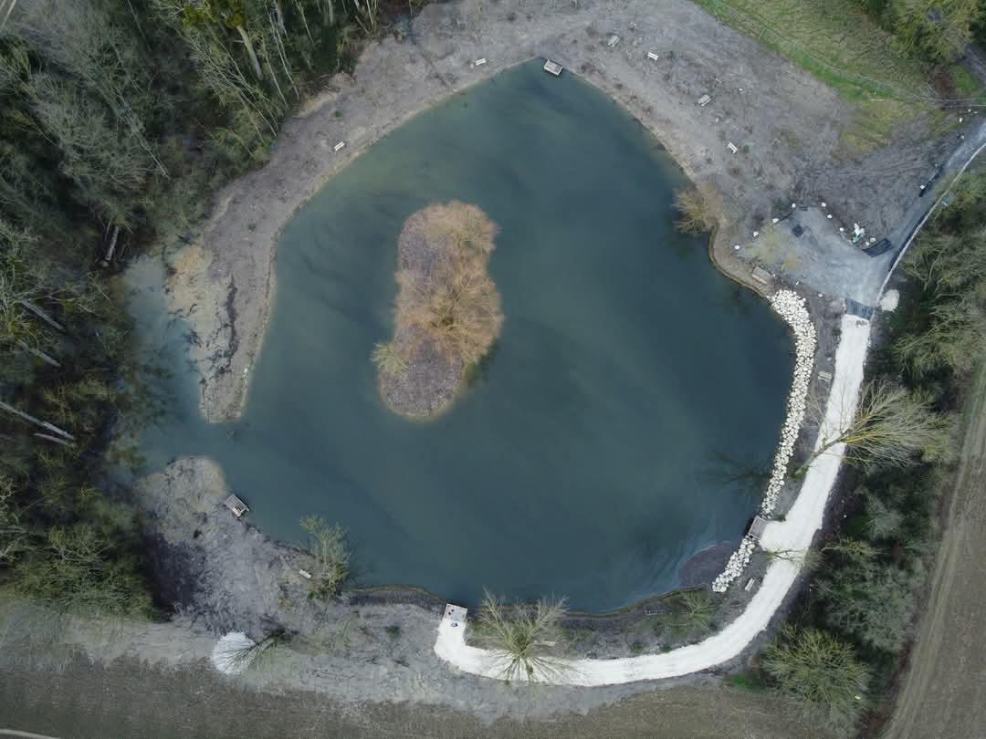 Restauration de l'étang de la Grue